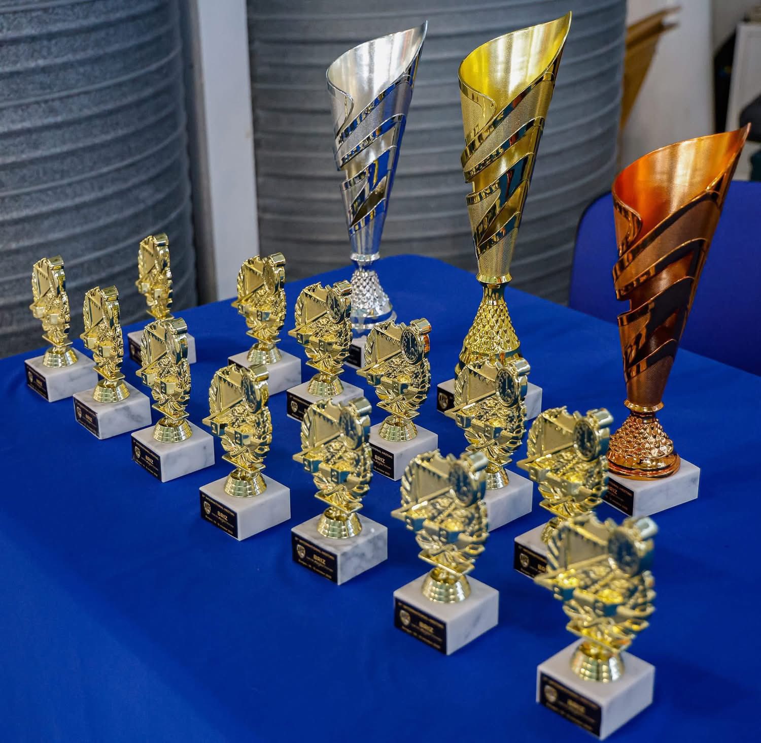 International Meeting BRIZ – Ivan ‘The Roshav’ Stoychev”, desfășurată în Burgas, Bulgaria. 2025